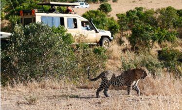7 Days Aberdares, Nakuru ,Naivasha & Amboseli