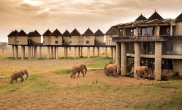 3Days Tsavo East National Park Salt lick