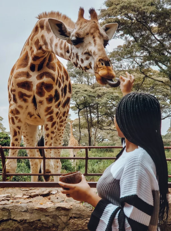 Giraffe-Centre-Visit-scaled