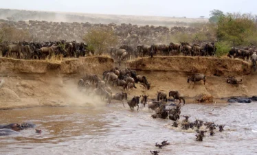 6 Days Kenya and Tanzania Safari