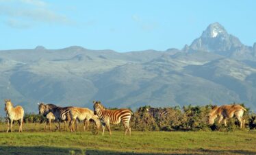 14 Days Naivasha, Nakuru, Samburu & Meru