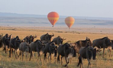9 Days Kenya and Tanzania Safari