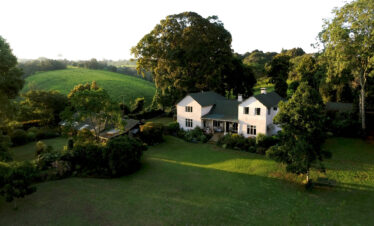 Kiambethu Tea Farm Day Trip from Nairobi