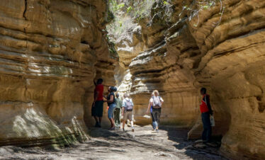 Hells Gate & Lake Naivasha Day Tour