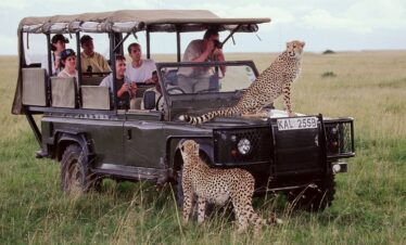 7 Days Kenya and Tanzania Safari