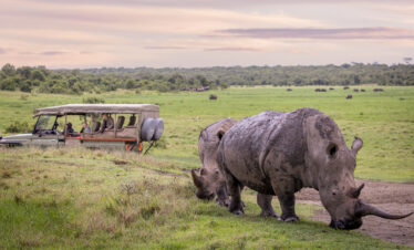 20 Days Bush and Beach Safari