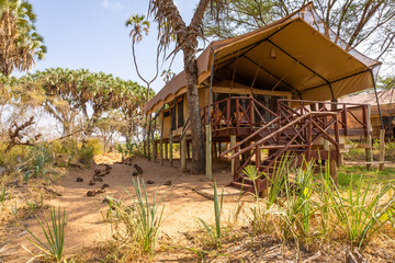 Best Hotels and Lodges in Samburu National Reserve