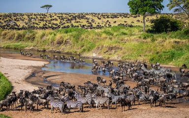 Best National Parks for a Kenya and Tanzania Safari