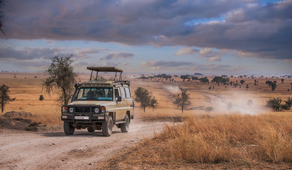 January Safari
