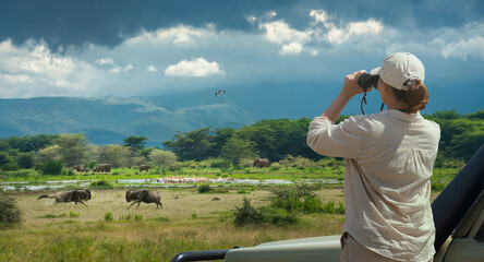 Birding Safari Tour in Kenya
