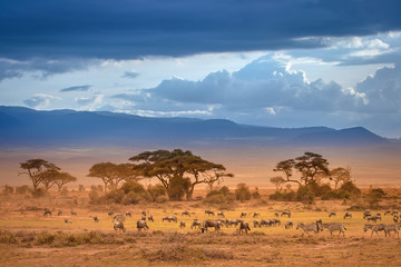 14-Day Kenya and Tanzania Safari in December
