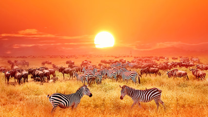 14-Day Kenya and Tanzania Safari in December